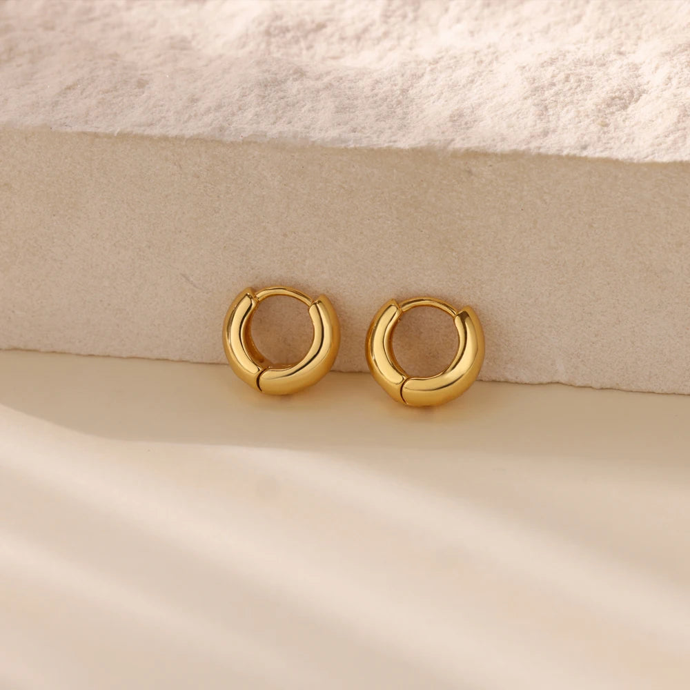 Classic Hoop Earrings for Women Chunky
