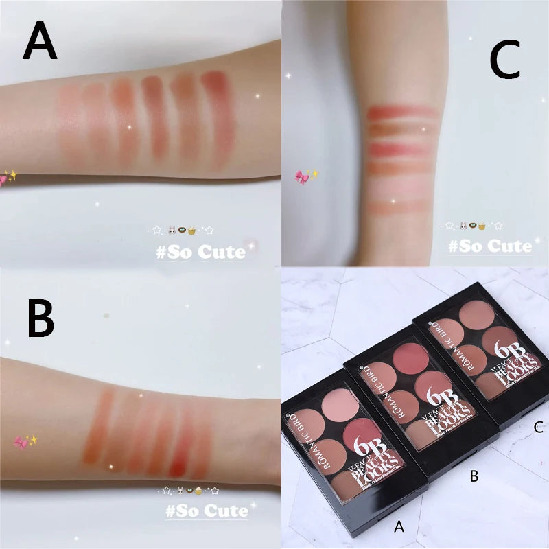 6-Color Blush & Contouring All-In-One Palette