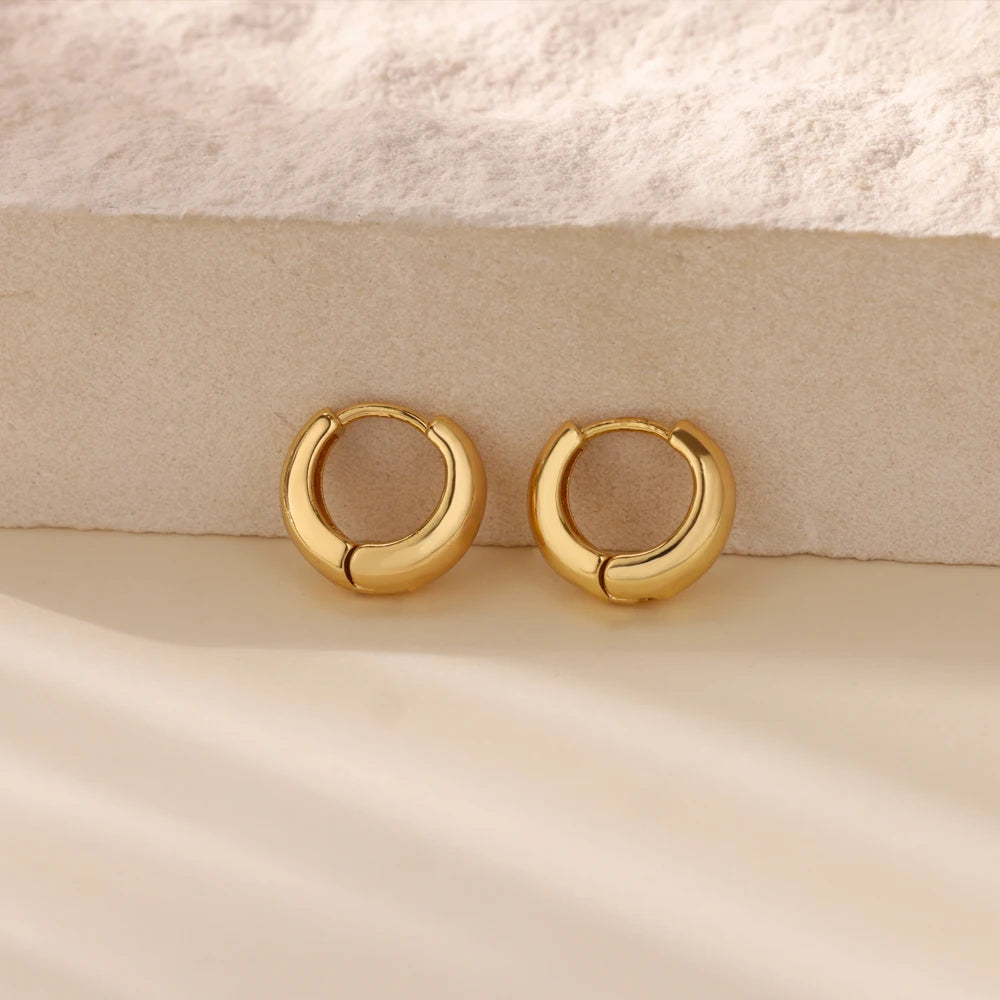 Classic Hoop Earrings for Women Chunky