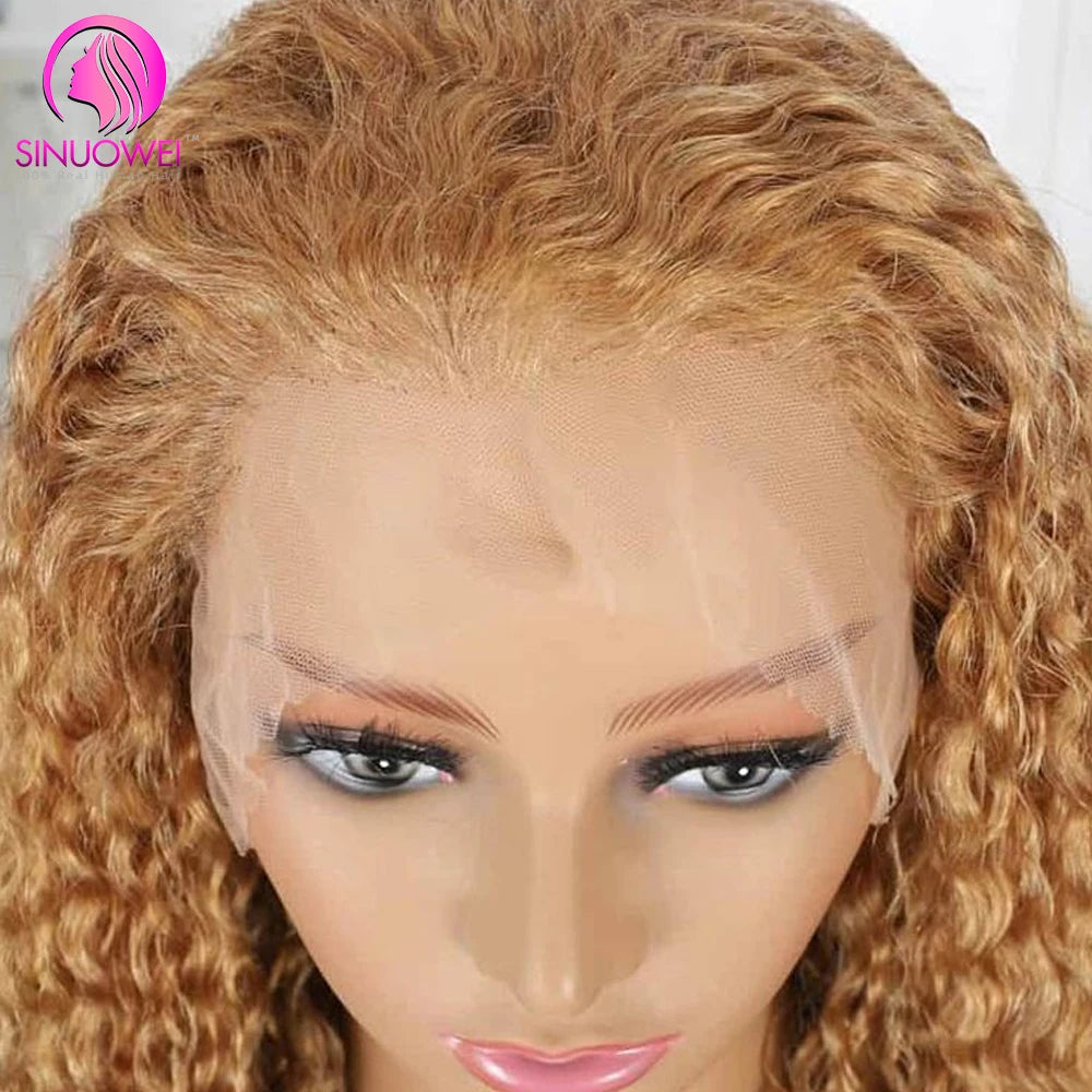 Highlight Lace Front Wig Human Hair Honey